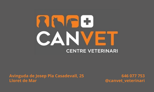 CanVet