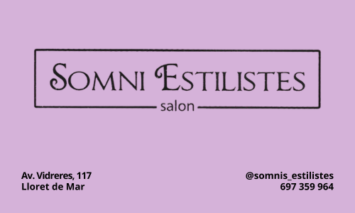 Somni estilistes